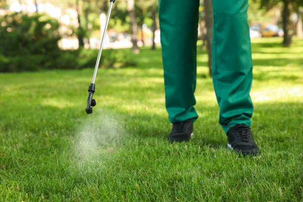 Best Best Pest Control Companies  in Waukesha, WI