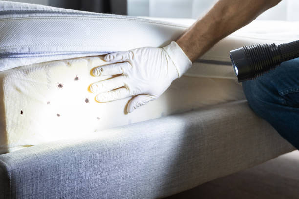 Best Mosquito Control Services  in Waukesha, WI