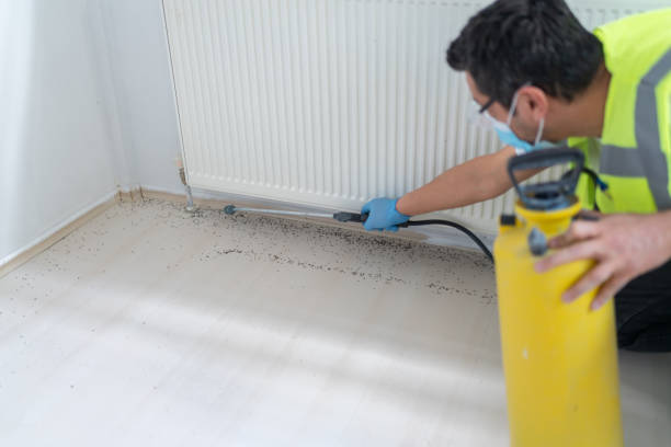 Best Pest Removal Services  in Waukesha, WI