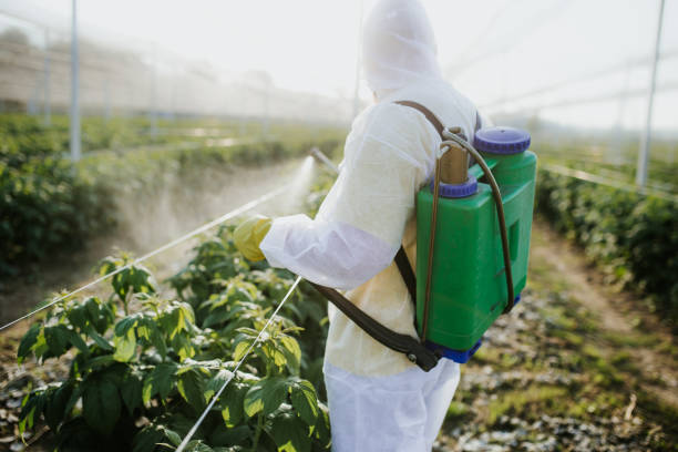 Best Local Pest Control Services  in Waukesha, WI